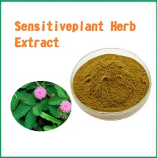 100g natural mimosa hostilis root bark extract powder 10:1 Sensitiveplant Herb Extract