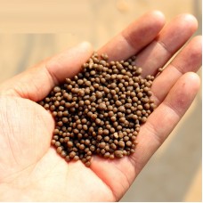 100g diammonium phosphate DAP  Plant, fruit, vegetable and flower plants, general organic manure compound fertilizer for rose