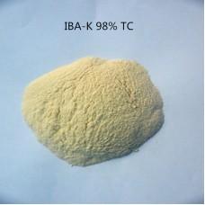 10 gram indole-3-butyric acid potassium IBA-K water soluble 3-Indolebutyric Acid potassium IBA Auxin with low price 