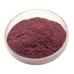 100% Natural Blueberry Extract Blueberry Fruit Powder  Water Soluble Blueberry free shipping