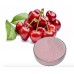 100% Natural cherry powder cherry extract fruit juice powder  free shipping