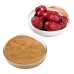 100% Natural ziziphus jujube fruit extract/ziziphus jujube leaf extract/red jujube extract Powder free shipping