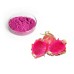 100% Pure Natural  Dragon Fruit Juice Powder free shipping