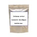 10:1 Natural Cordyceps Extract Powder