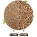 500g diatomite Succulent plants Paving surface stone  Physical insecticide