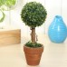 Artificial Potted Plant Plastic Garden Grass Ball Topiary Tree Pot Home Desk Decor