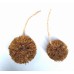  Brown/Natural/Blonde /Nougat Raffia pom poms , Raffia Pom Poms with Loops for DIY Crafts ,pom pom straw Decorations