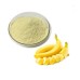 Factory Supply 100% Pure Natural Banana organic juice powder  free shipping