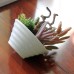 Mini White Pots Simulation Plant Aloe Vera Immortal Finger Potted Plants