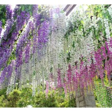 Simulation Flower Simulation Phalaenopsis Wisteria Home Wall Garden Window Decor