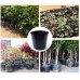 Succulent plants grow seedlings pot Nursery pot 210# 230# 260# 280# 300# 360# 400# 500# Flowerpot