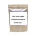 Water soluble WPC 80% whey protein powder Muscle enhancement,Body-building,free shipping