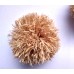 2.5" Natual color Raffia pom poms for Decorations,  Handmade from Natural Raffia Fibers, 2.5inch Rainbow Pom Pom wholesale