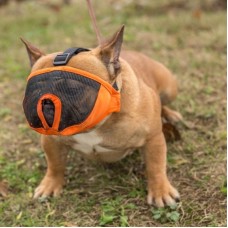 short snout muzzle Special masks for short-nosed dogs to prevent biting and barking 