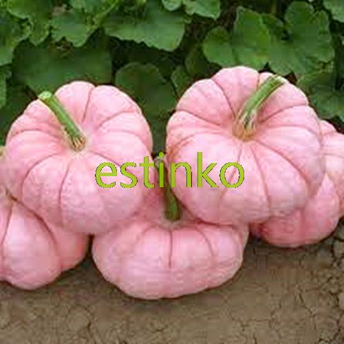 1-Bag-appx-10grams-Quick-Release-Water-Soluble-Fertilizer-Suitable-for-Garden-Flowers-Fruit-Trees--V-32745682937