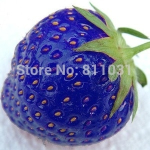 1-Bag-appx-10grams-Quick-Release-Water-Soluble-Fertilizer-Suitable-for-Garden-Flowers-Fruit-Trees--V-32745682937