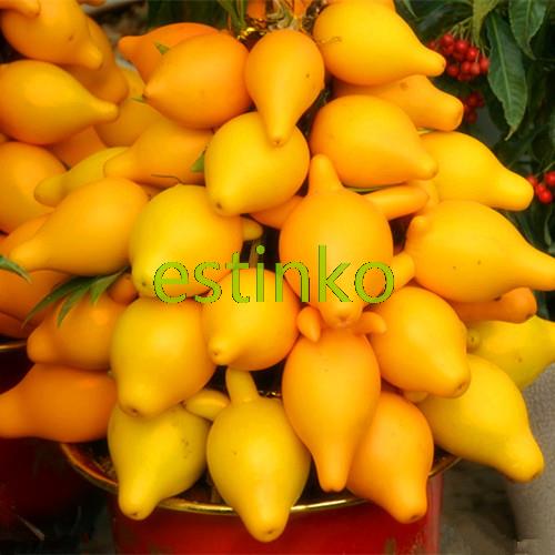 1-Bag-appx-15grams-Controlled-Release-Fertilizer-Granules-Organic-Suitable-for-Garden-Fruit-Trees--V-32444865939