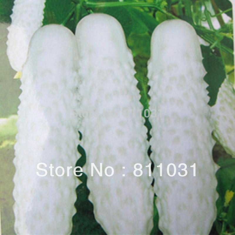 1-Bag-appx-15grams-Controlled-Release-Fertilizer-Granules-Organic-Suitable-for-Garden-Fruit-Trees--V-32444865939