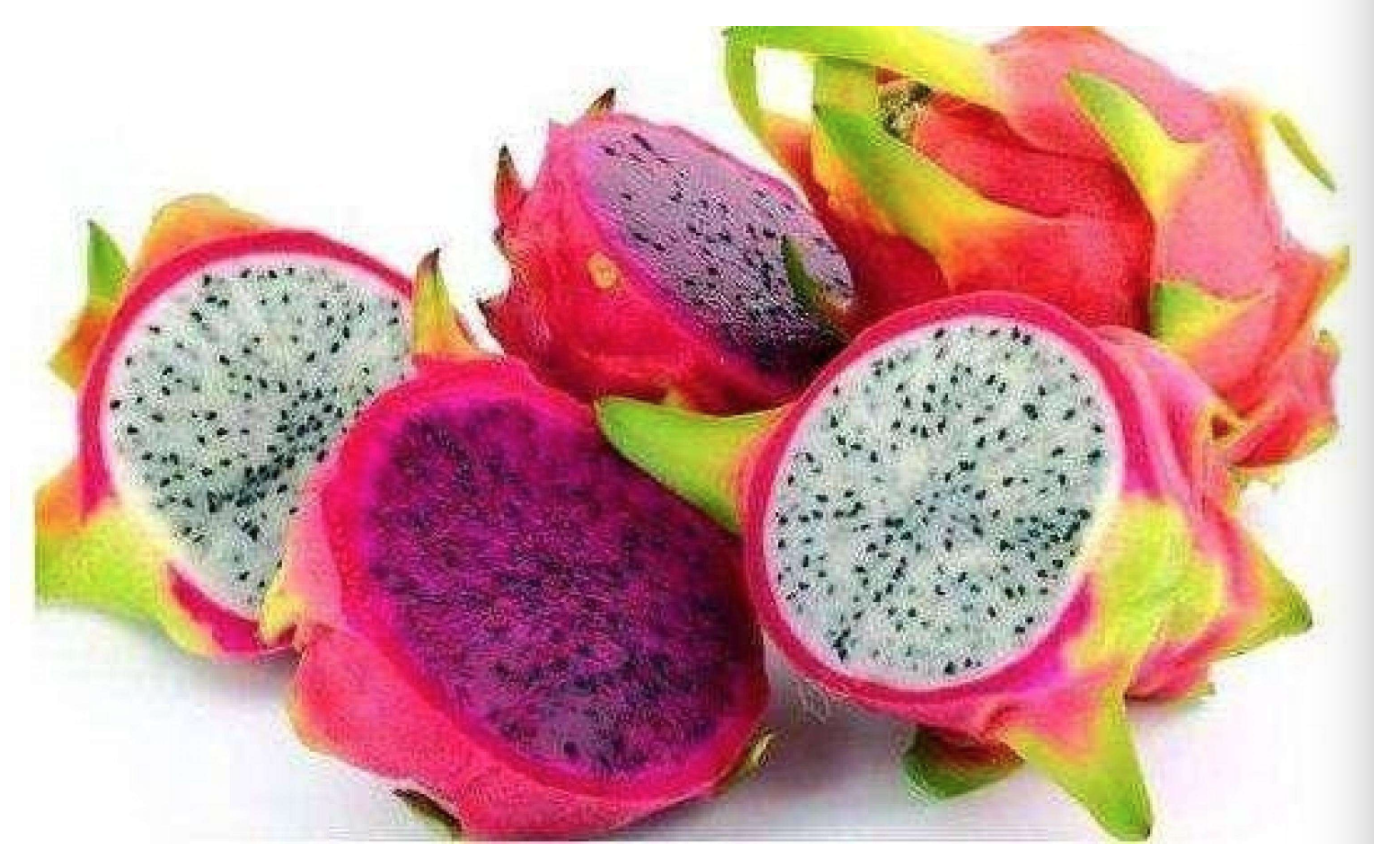 100-Pure-Natural--Dragon-Fruit-Juice-Powder-free-shipping-32989211644