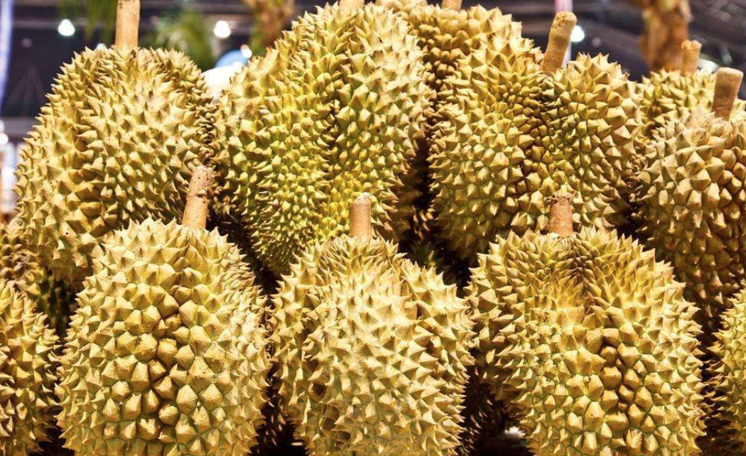 100-Pure-Natural--Durian-powderDurian-Lyophilized-powder-free-shipping-32989223684