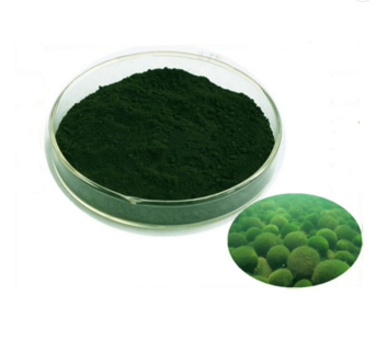 100-natural-high-quality-organic-chlorella-powder-32996555827