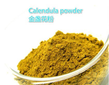 100g--Free-Shipping-Herb-powder-and-Extract-Natural-powder-material-for-soap-pow