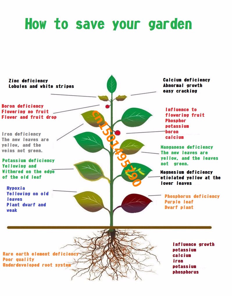 100gEDDHA-FE6PlantmicronutrientsFertilizerChelateIronEDDHAFE-32803458738