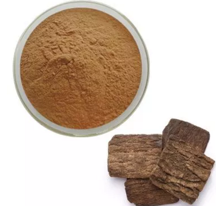 101-Eucommia-ulmoides-Extract-Powder-32990022596