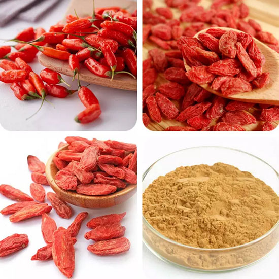 101-Goji-Juice-Extract-Powder-LyciumWolfberry-Powder-32990942700