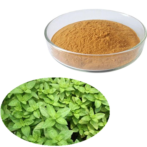 101-High-Quality-Mint-Flavor-Extract-Powder-32990834499