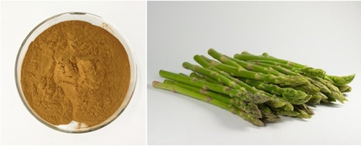 101-Natural-Organic-Asparagus-Extract-Asparagus-Powder-100g-1000g-32988715345