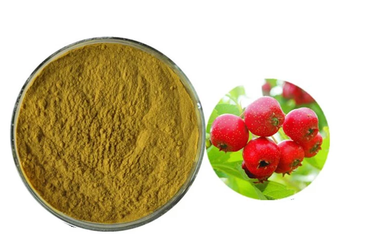 101-natural-Hawthorn-Extract-powder-32993142358