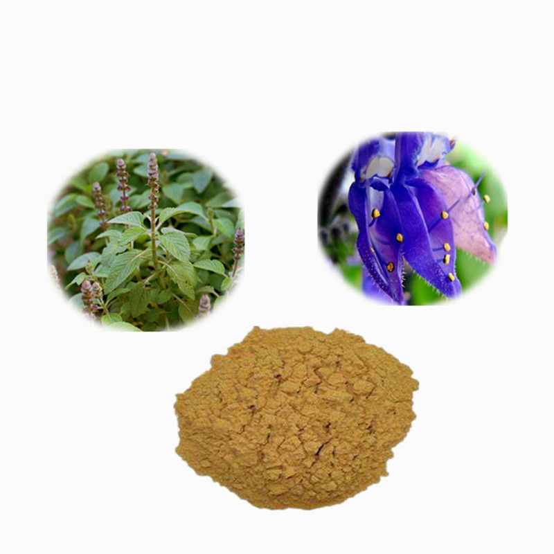 101Coleus-forskohlii-extract-powder-Pure-Natural-Forskohlii-32981697518