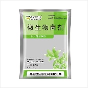 10gBag-MgSO4-Magnesium-Sulfate-Prevent-Yellow-Disease-Trace-Element-Flower-Fertilizer-Garden-Plant-N-32964309162