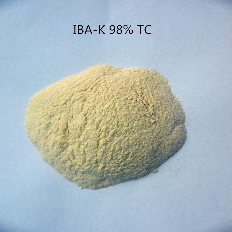 10gramindole-3-butyricacidpotassiumIBA-Kwatersoluble3-IndolebutyricAcidpotassiumIBAAuxinwithlowprice-32302967509