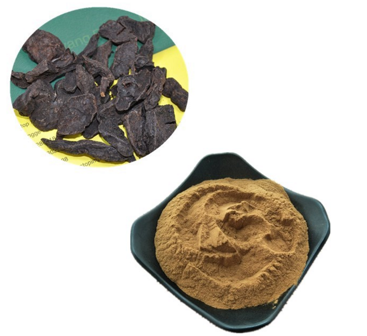 20-1-Polygonum-multiflorum-Root-extract-Polygonum-Multiflorum-Resveratrol-Powder-32980765520