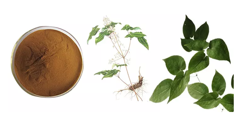 201-Enhance-immunity-Horny-goat-weed-extract-Epimedium-extract-powder-32984843180