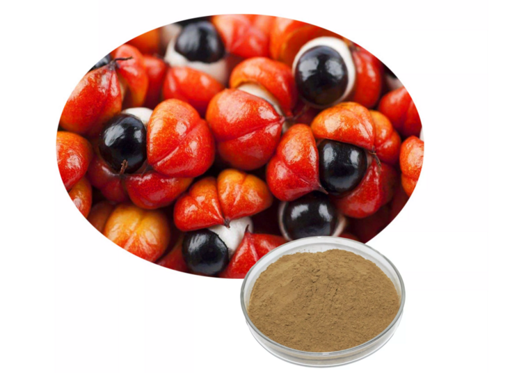 201-Guarana-Seed-Extract-Powder-Guarana-Powder-32986447296