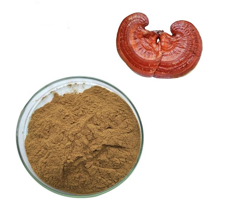 201-Lingzhi-Ganoderma-Lucidum-Extract-Reishi-Mushroom-Powder-100g-1000g-32984583486