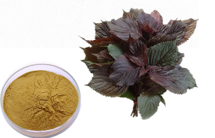 201-Perilla-Leaf-ExtractPerilla-leaf-Powder-32987949752