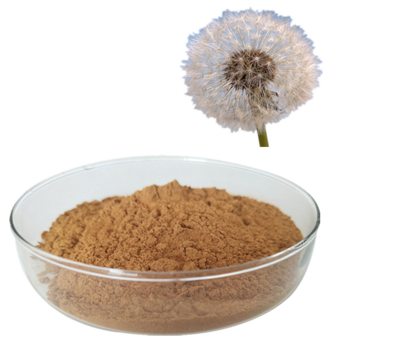 201-Pure-Nature-Dandelion-Root-Extract-Powder-32987973277