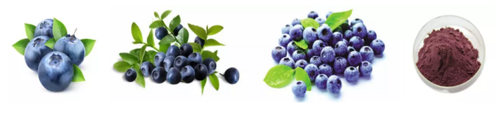 25-Organic-Blueberry-anthocyanin-powder-Blueberry-Extract-powderAntioxidant-32993181020