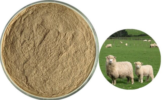 70-Sheep-Placenta-Extract-Powder-whitening-skin--enhance-skin-elasticity-32994518961