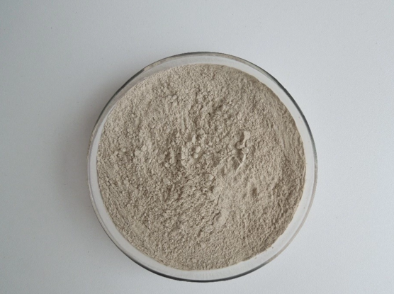 99-sea-cucumber-Extract-holothurian-protein-Extract-Powder-32989560235