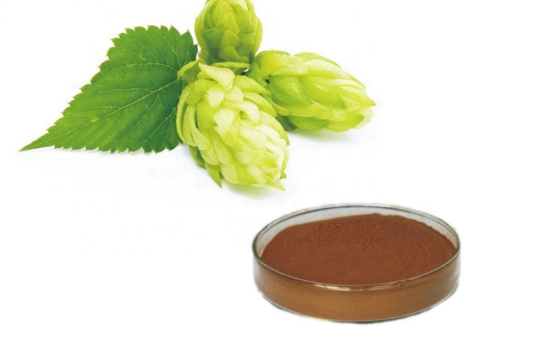 Free-shipping-101-Hops-Flower-Extract-Hops-Extract-with-flavonoids-Humulus-Lupulus-Extract-32989325692