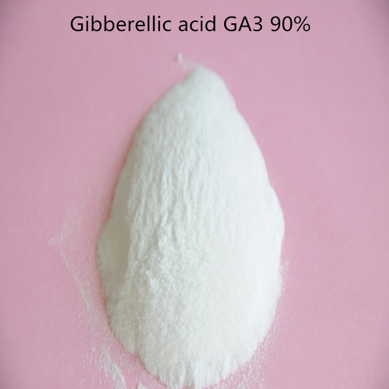 GibberellinGA390TCGibberellicacidPlantGrowthRegulatorwithlowpricehighquality-32260675253