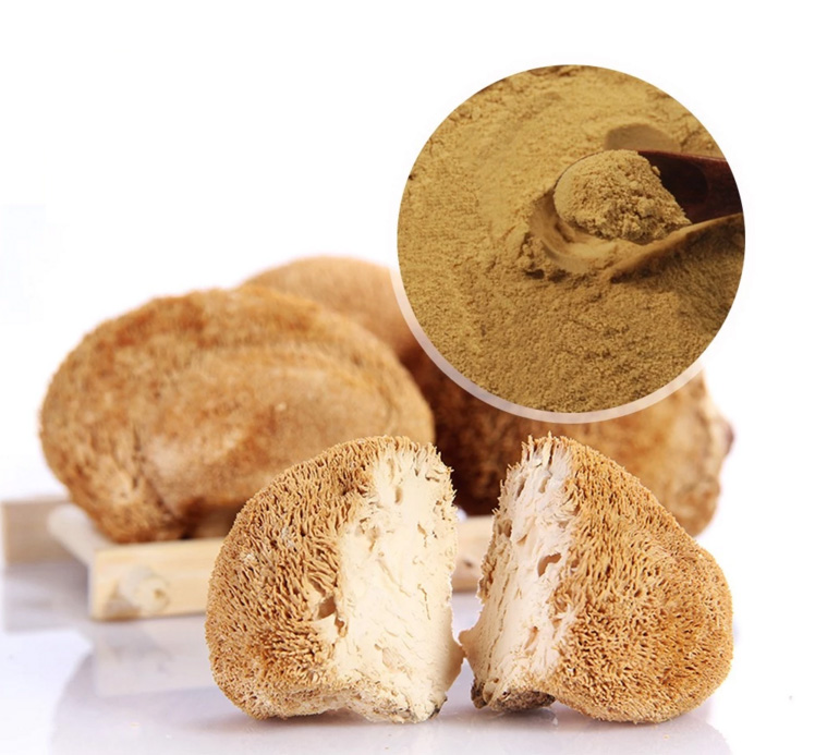 Hericium-erinaceus-extract-powdeBearded-Tooth-Mushroom-extract-32982452047