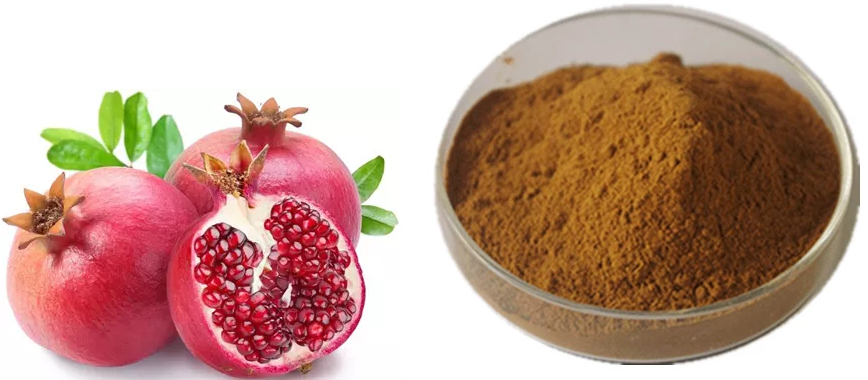 Hot-sale-Pomegranate-Peel-Extract-101--free-shipping-32988989368