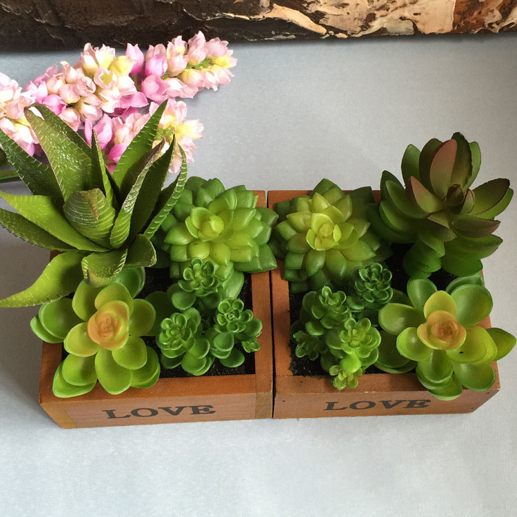 LOVE-Wooden-Basin-Desktop-Lotus-Succulent-Plants-Flower-Pot-Garden--Bonsai-1182095