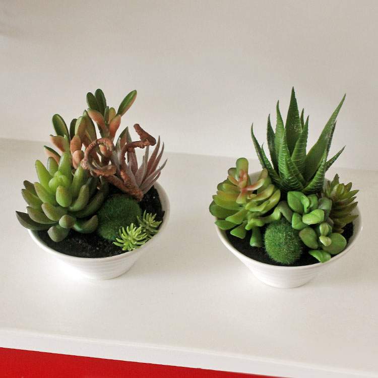 Mini-White-Pots-Simulation-Plant-Aloe-Vera-Immortal-Finger-Potted-Plants-1183035